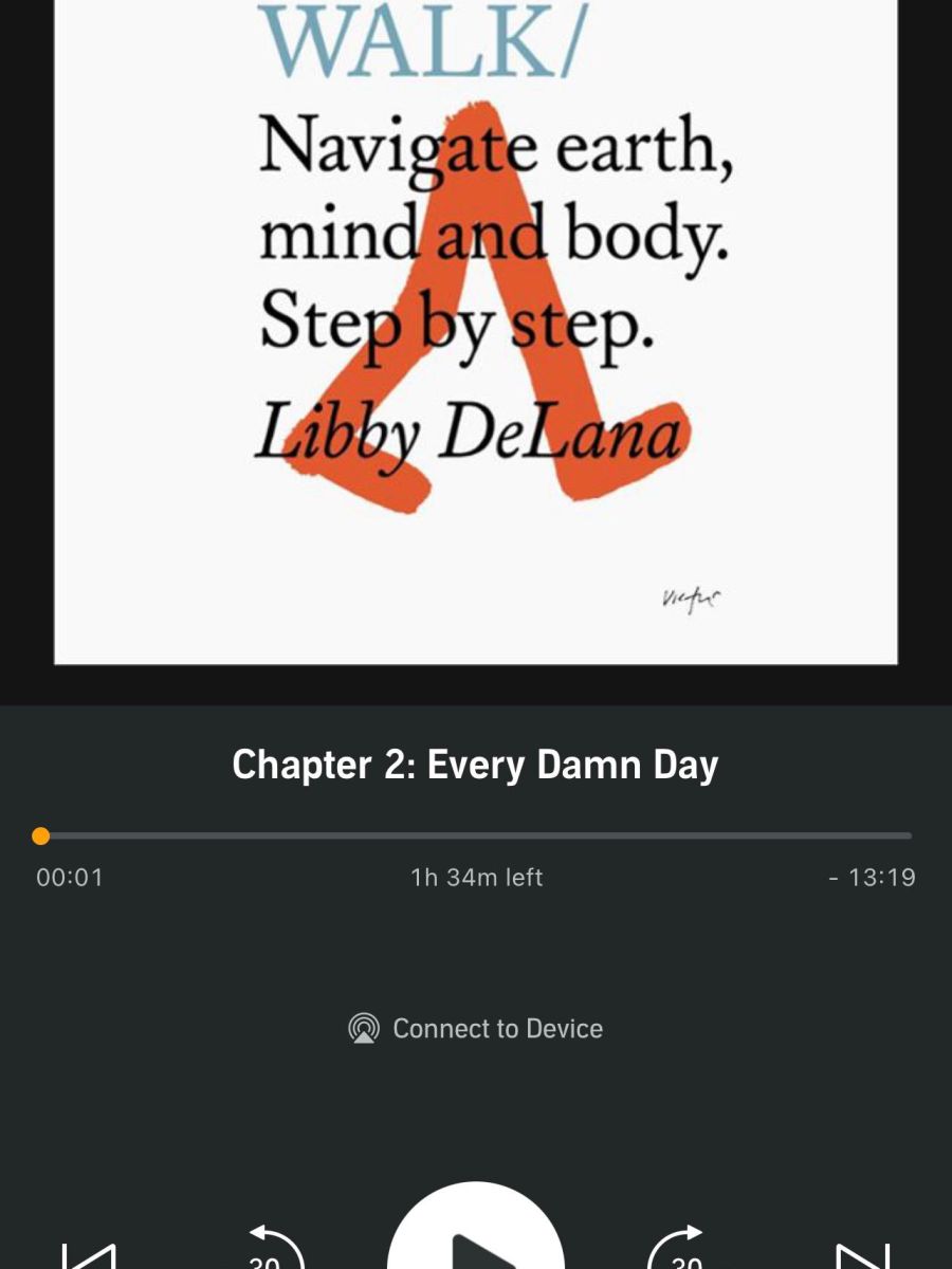 Do Walk By Libby DeLana Audible Book Review & Reflection