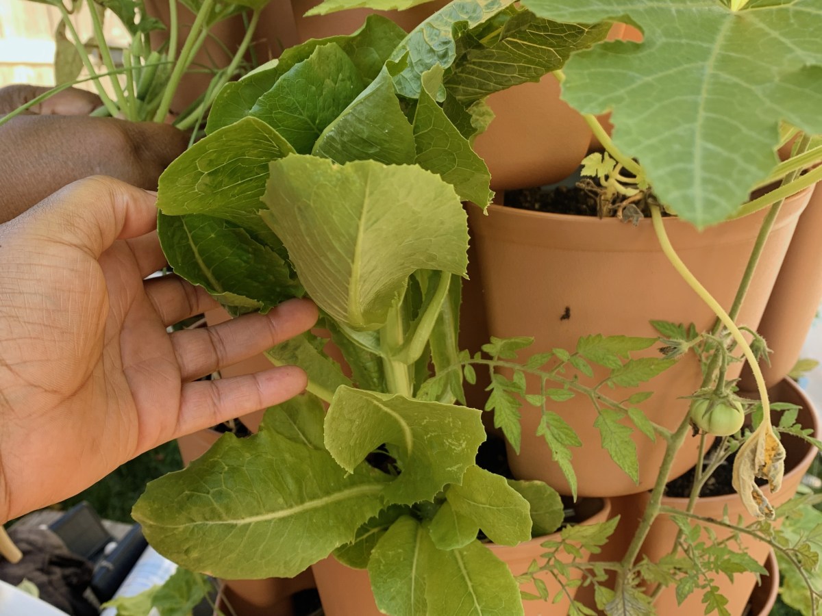 Finding Pockets of Joy